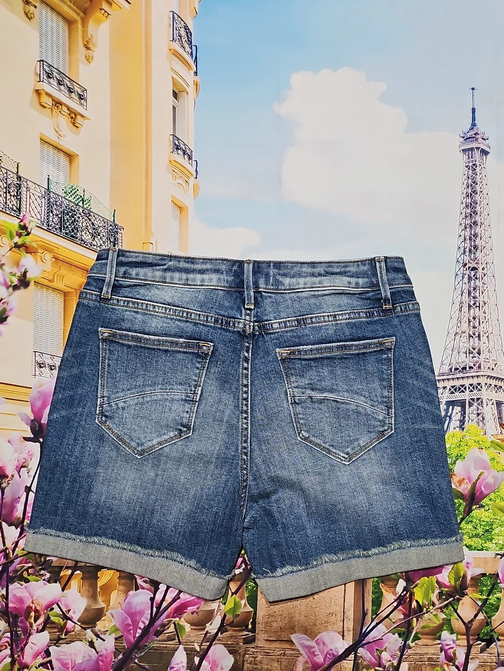 DRIFTWOOD Blue Denim Shorts with Floral Embroidery and Pearls Size 26